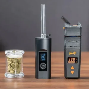 Elfworld 12000 Puffs Mint Menthol - Vape Shop Delhi